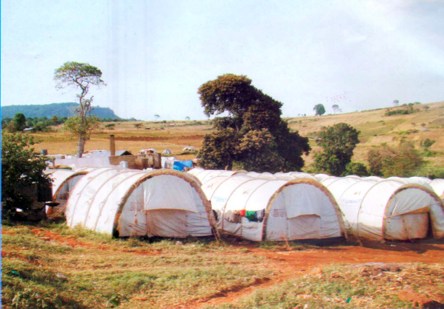 Screen Shot 2024-12-05 at 1.38.09 PM