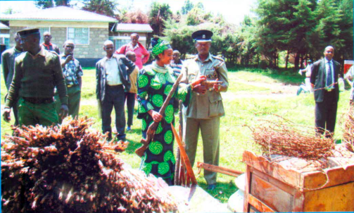 Contact Me || +(254) 729 978 027 - Eunice Chebet