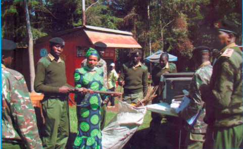 Screen Shot 2024-12-05 at 3.44.08 PM