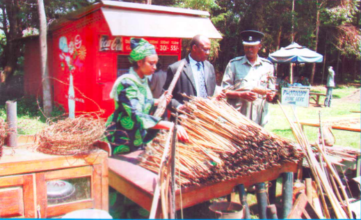 Screen Shot 2024-12-05 at 3.44.34 PM