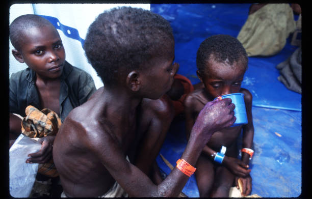 WhatsApp Image 2025-03-26 at 12.17.24