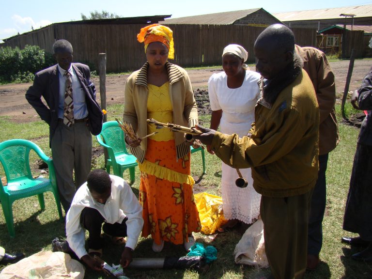 programme documentation; civic education materials; supporting photographs and professional records.