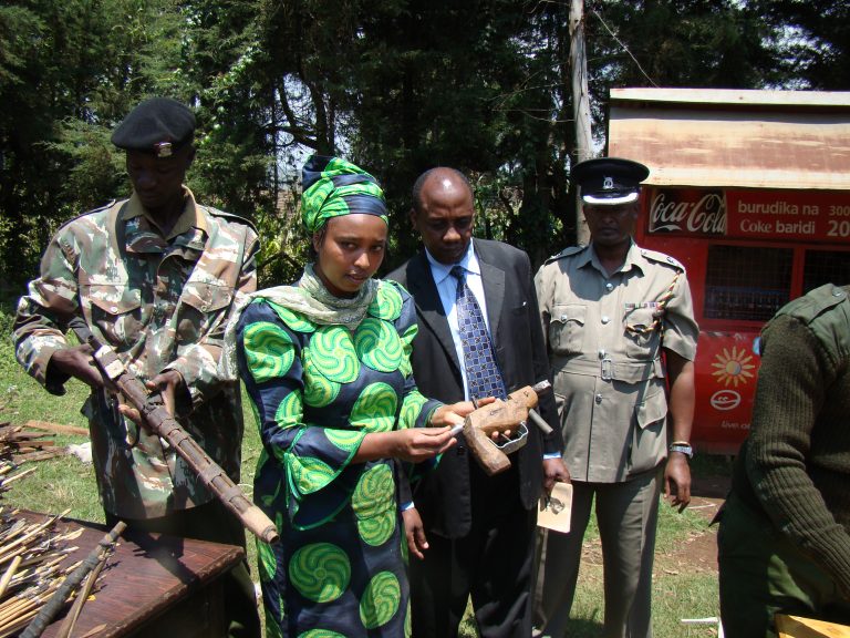Government of Kenya institutional documentation; field photographs; peace initiative publications/booklets; documented programme activities.
